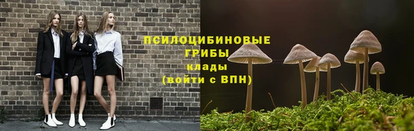 прущая мука Абаза