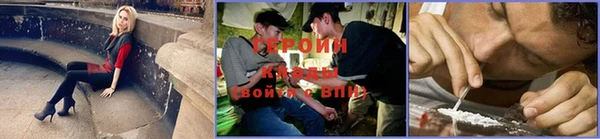 гашик Алексин